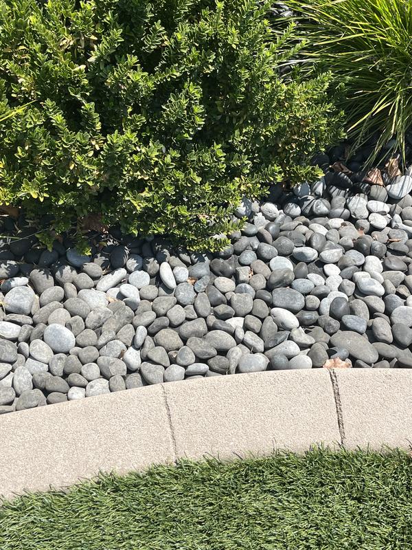 AKASHA 5-lb Black River Rock in the Landscaping Rock department at