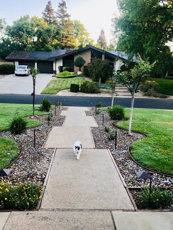 0.5-cu ft 39-lb Multiple Colors/Finishes Decorative Rock R1CGG34L at ...