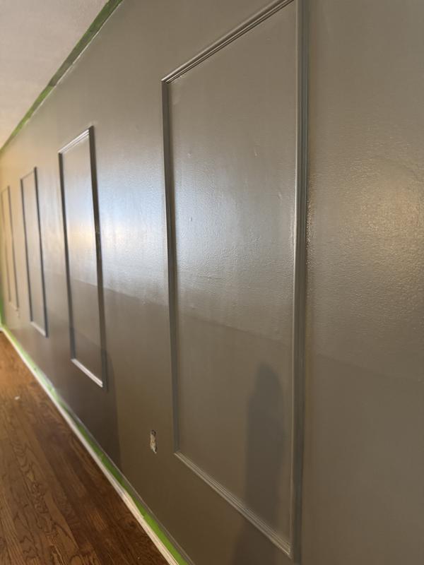 BUILD and BATTEN Wall Panel Rail Kit Finished Polystyrene Strip Picture ...