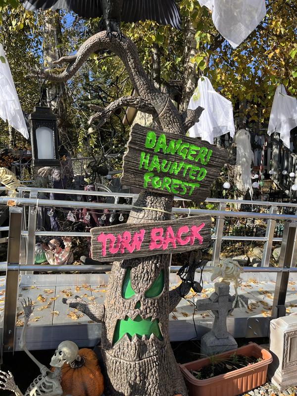 Haunted Living 7.0-ft Freestanding Screeching Lighted Tree Animatronic ...