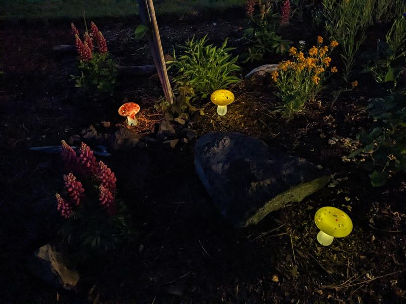 Lowes solar on sale mushroom lights