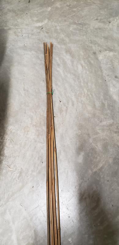 Garden Treasures 6-Pack 72-in Bamboo Landscape Stakes at