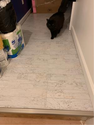 Armstrong Flooring Terraza Grand 18-in x 18-in Artic White Peel and Stick Vinyl Tile Armstrong Flooring Terraza Grand 18-in x 18-in Artic White Peel and Stick Vinyl Tile