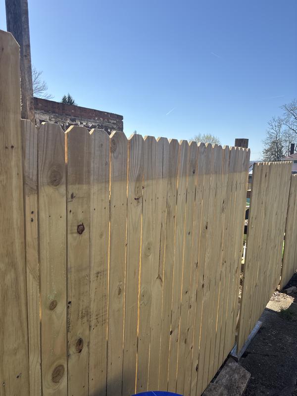 Severe Weather Max 6-ft x 8-ft Pressure Treated Southern Yellow