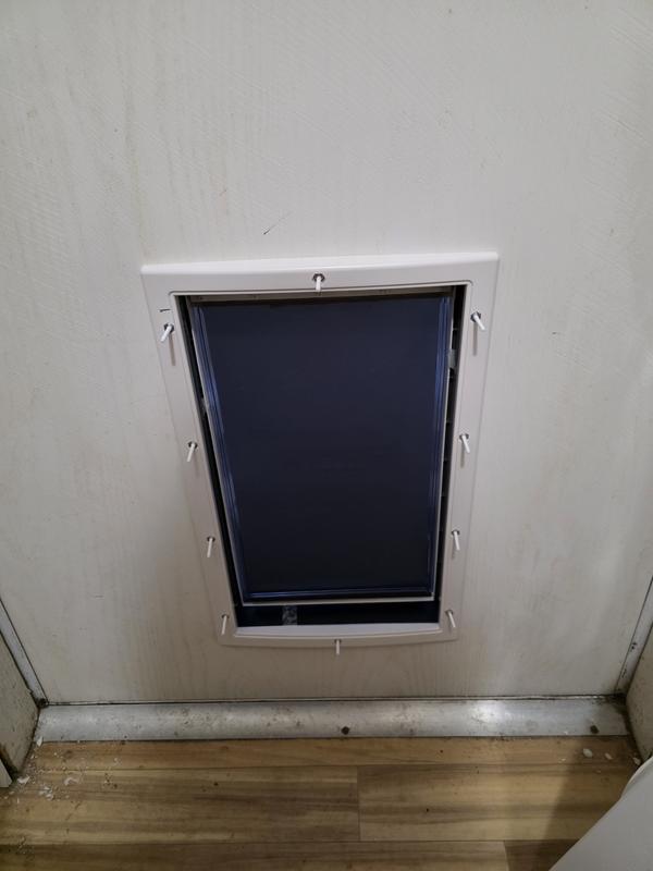 PetSafe 12-1/2-in x 19-3/4-in White Plastic L Cat Door for Entry door ...