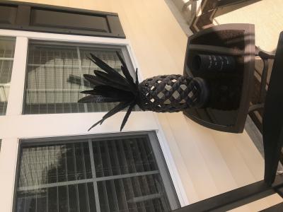 pineapple様 833 254231?$bjs-Initial350$
