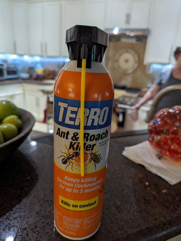 TERRO 16-oz Ant and Roach Insect Killer Aerosol at Lowes.com