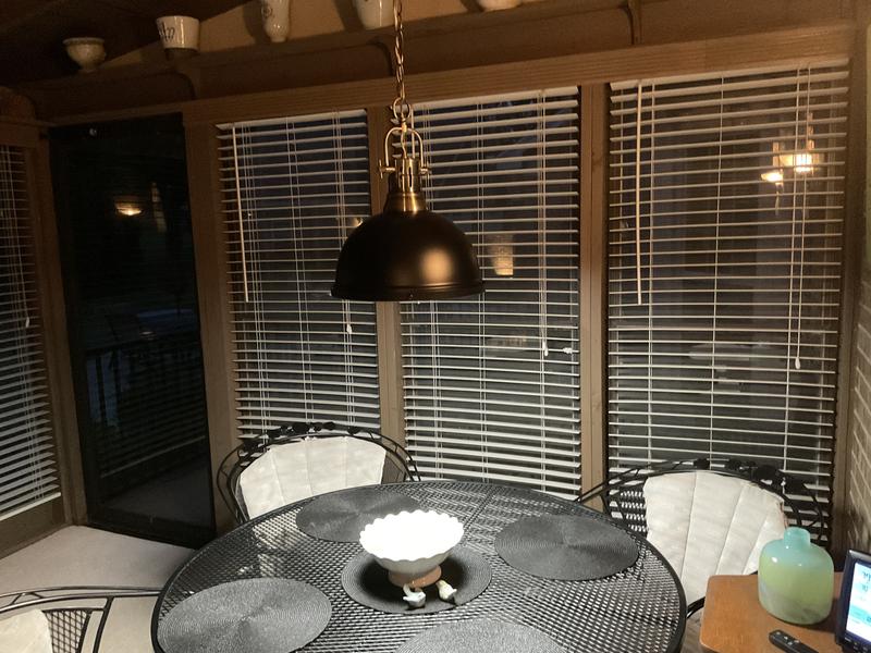 Golden Lighting Duncan 1 -Light Pewter Transitional Metal Dome Medium ...