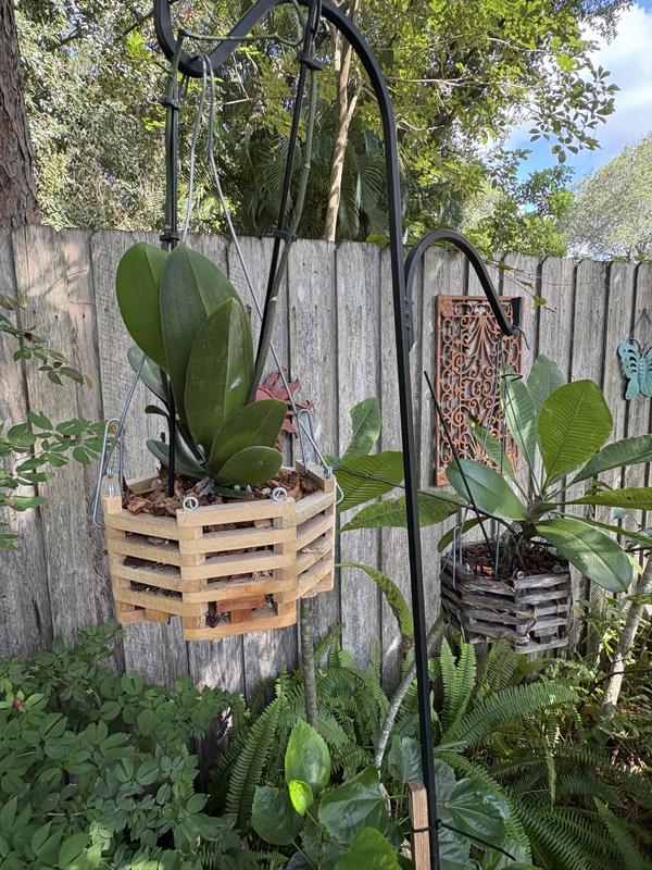 Better-Gro 8-in W Brown Wood Basket With Drainage Holes 5172 at