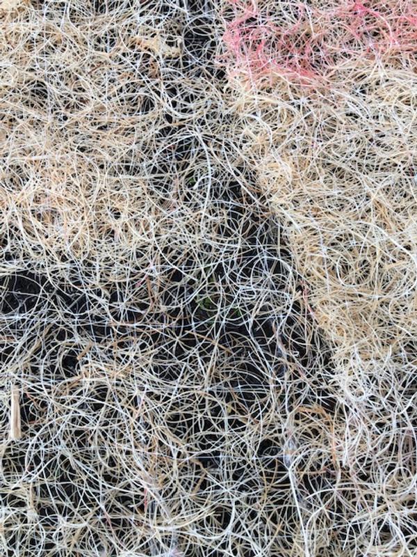 Greenscapes seed germination blanket sale