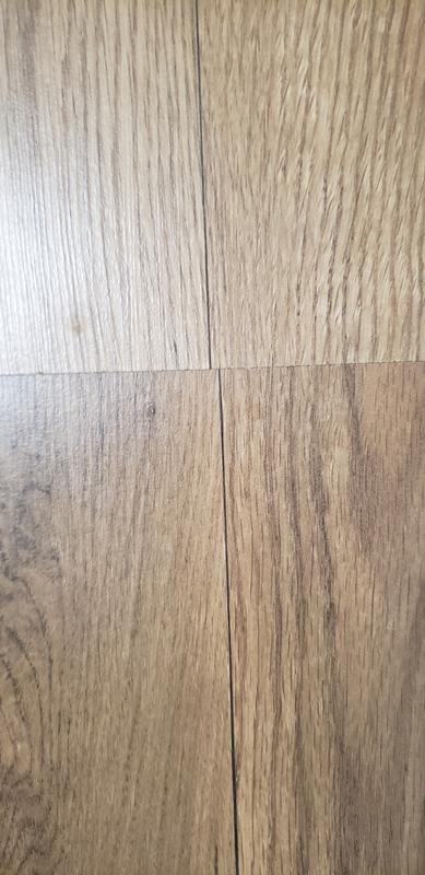 Style Selections Acorn Oak 8-mm T x 8-in W x 48-in L Wood Plank Laminate Flooring (21.26-sq ft / Carton)