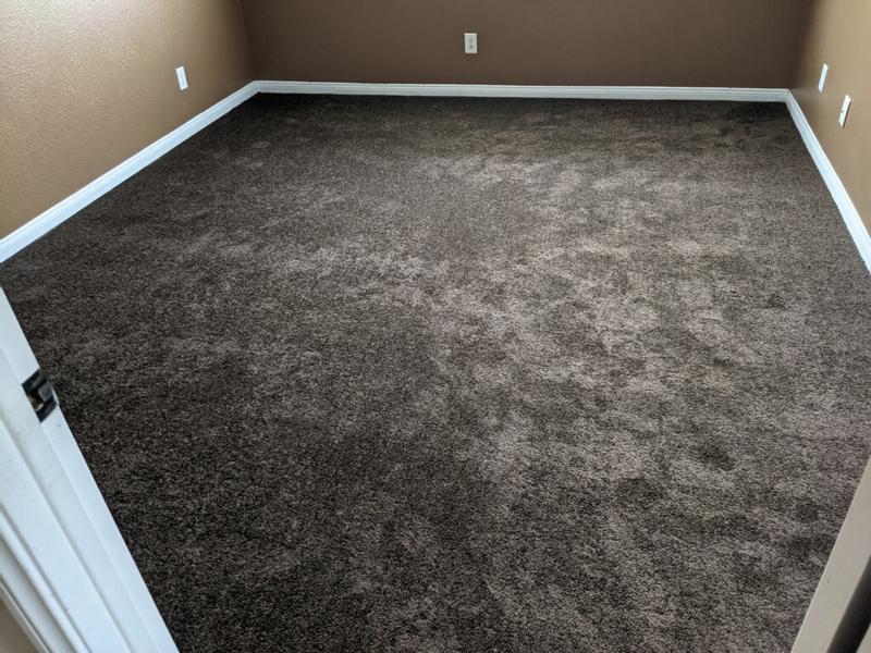 Shaw Workhorse RR Walnut Textured Carpet (Indoor)