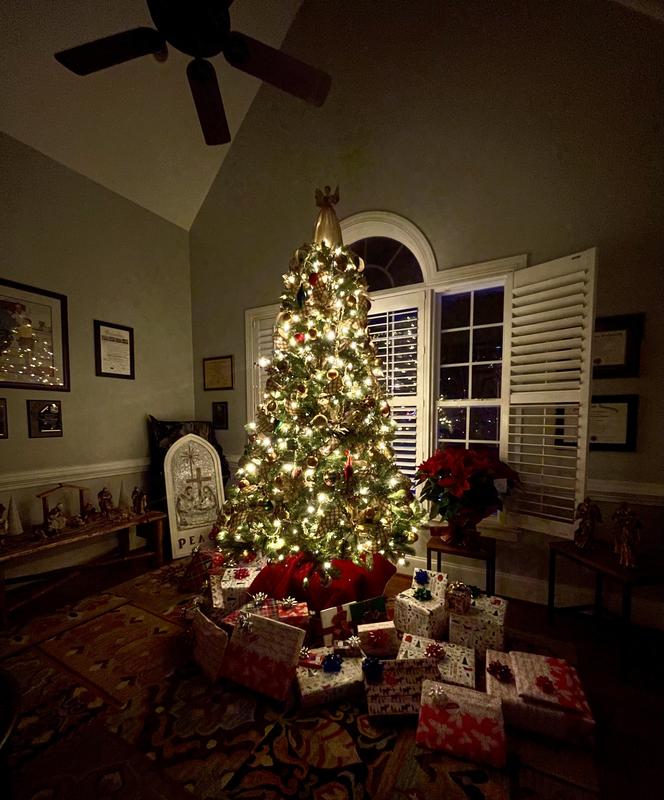 https://photos-us.bazaarvoice.com/photo/2/cGhvdG86bG93ZXM/eb558396-e3b4-5a20-8e96-029df419ec47