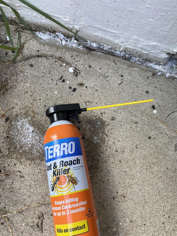 TERRO 3-oz Roach Killer in the Pesticides department at