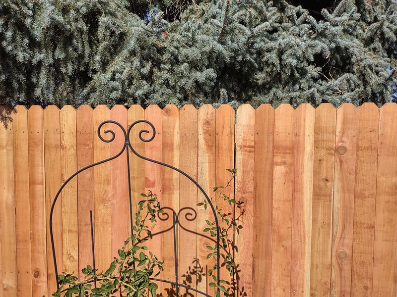 Picket Fences ProWood 2 In. X 4 In. X 6 Ft. Western Red Cedar Fence ...