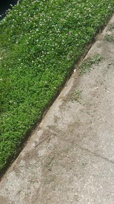 black and decker 3.5 amp trimmer