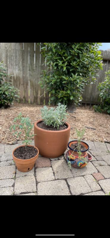 allen + roth Round 15-in W Medium Red Clay Outdoor Planter With ...