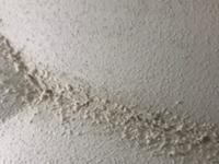 Homax Pro Grade 14 Oz White Popcorn Ceiling Texture At Lowes Com