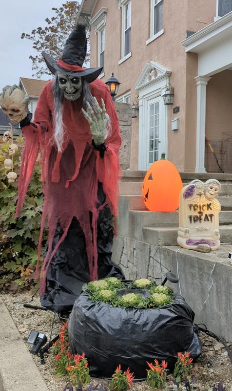 BIG APOLLO HALLOWEEN ver 展示品 At Apollo Behavior, we had so much fun getting into the spirit of