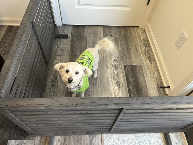 WEi 選ぶセット 数量限定!ヘッドホンプレゼント中♪】 YAMAHA DTX6K-XFS 専用