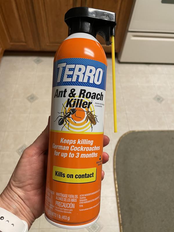 TERRO 16-oz Ant and Roach Insect Killer Aerosol at Lowes.com