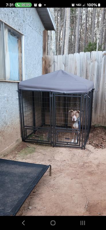 VEIKOUS Large 41 65 lb Wire Dog Kennel Roof Outdoor 10 ft L x 10 ft W x 7.5 ft H in the Crates Kennels department at Lowes