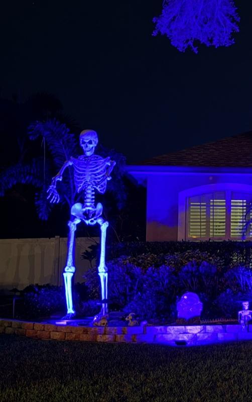 Haunted Living 10-ft Poseable Skeleton Yard Decoration 554568 at