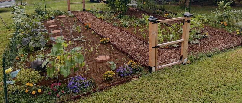 Greensmix 2 -cu ft Natural Pine bark Decorative Bark Mulch in the