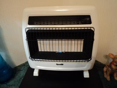 Dyna-Glo 30000-BTU Wall-Mount Indoor Natural Gas or Liquid Propane  Vent-Free Infrared Heater in the Gas Space Heaters department at Lowes.com