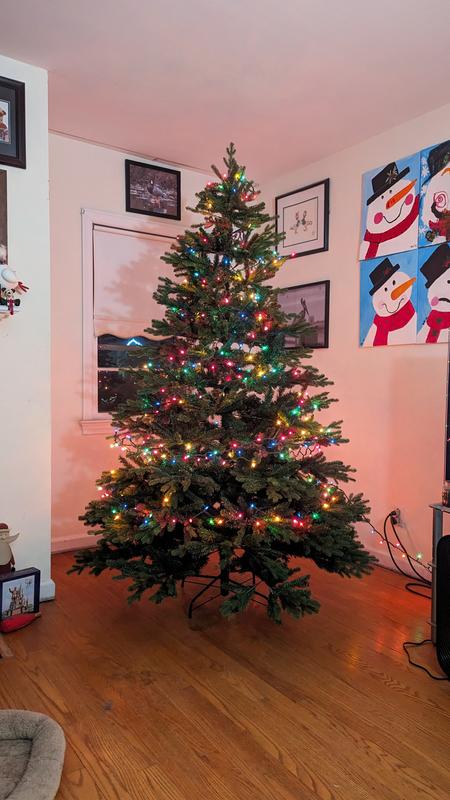 Fraser Hill Farm 9-ft Oregon Pine Pre-lit Artificial