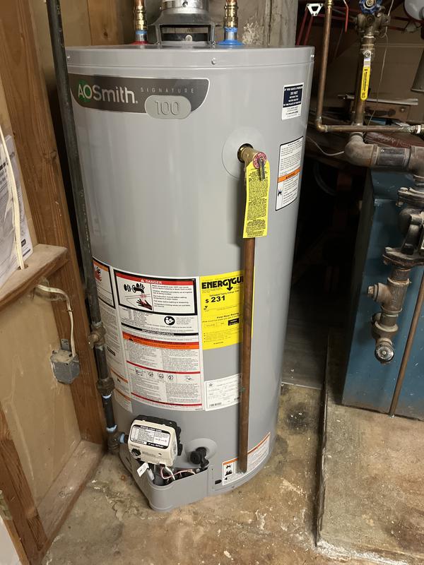 A.O. Smith Signature 100 50-Gallon Tall 6-year Warrant 50000-BTU Natural  Gas Water Heater in the Water Heaters department at
