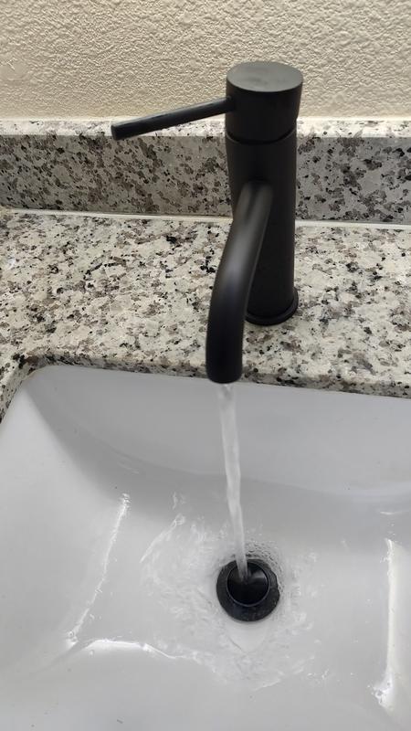 FURUISI Matte Black Single Hole 1-Handle Bathroom Sink Faucet with