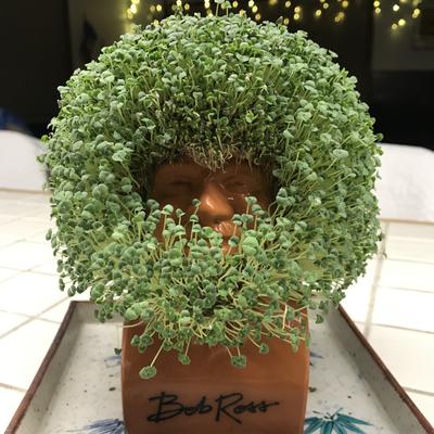 Chia Pet Bob Ross