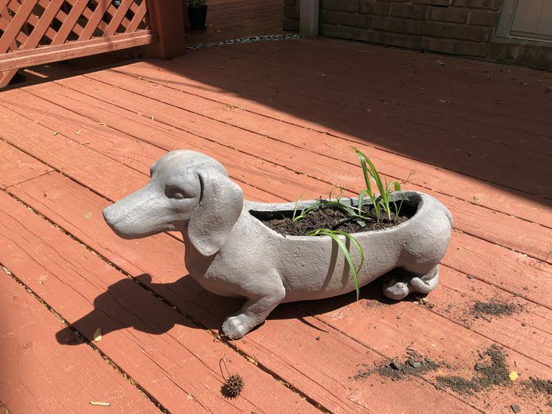 Macy - Dachshund, 9.5 x 12 Dog Planter Vase - Rescue Me Now - Pavilion