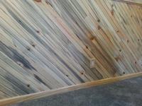 Blue Stain 5 5 In X 8 Ft Natural Unfinished Pine Tongue And