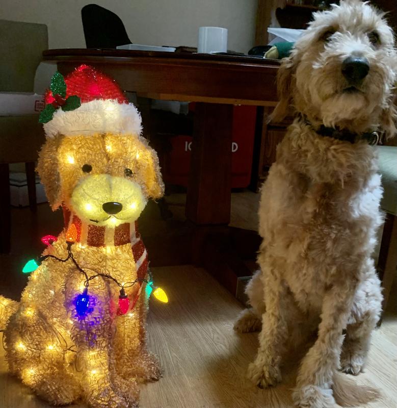 Holiday Living 27-in LED Doodle Dog Decoration in the Outdoor Christmas  Decorations department at