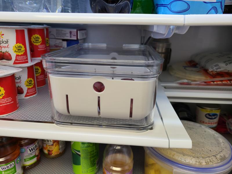 Refrigerator Berry Bin – Clearly Organized