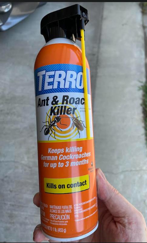 TERRO 16-oz Ant and Roach Insect Killer Aerosol at Lowes.com