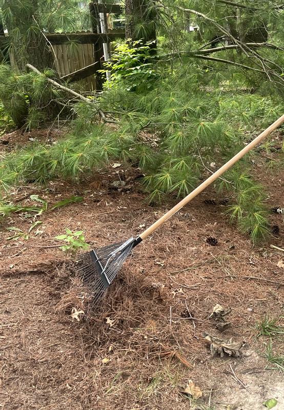 Razor-Back 34-in L Wood-Handle Steel Garden Rake 2911200 at Lowes.com