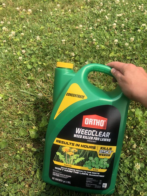 Ortho WeedClear Lawn Weed Killer Ready-to-Use (North), 55% OFF