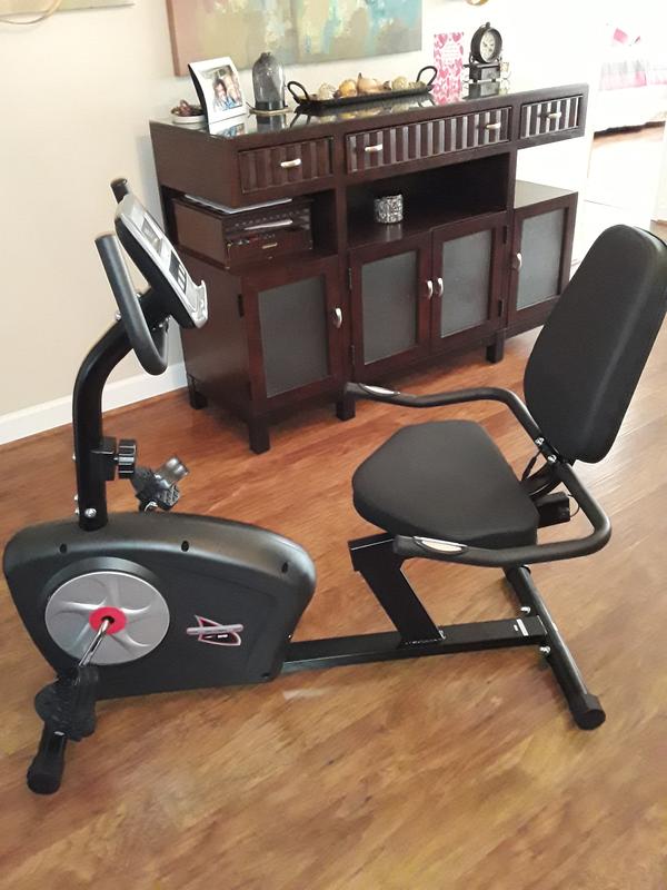 Champion recumbent hot sale exercise bike