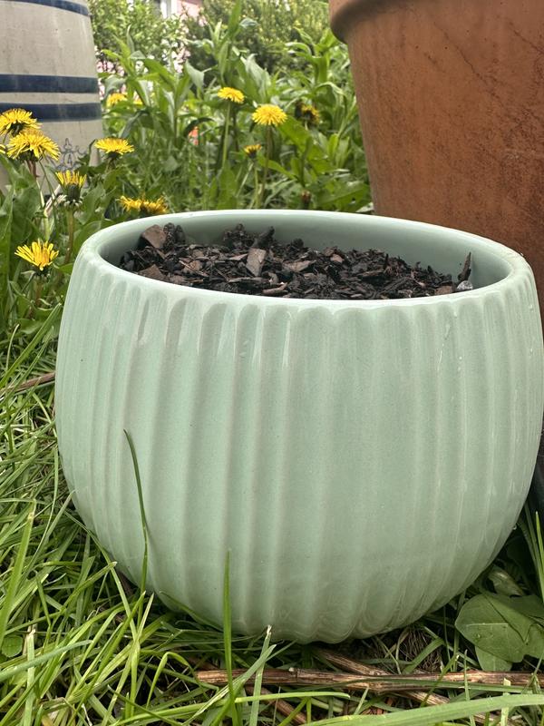 allen + roth Round 8-in W Small Green Ceramic Indoor Planter With ...