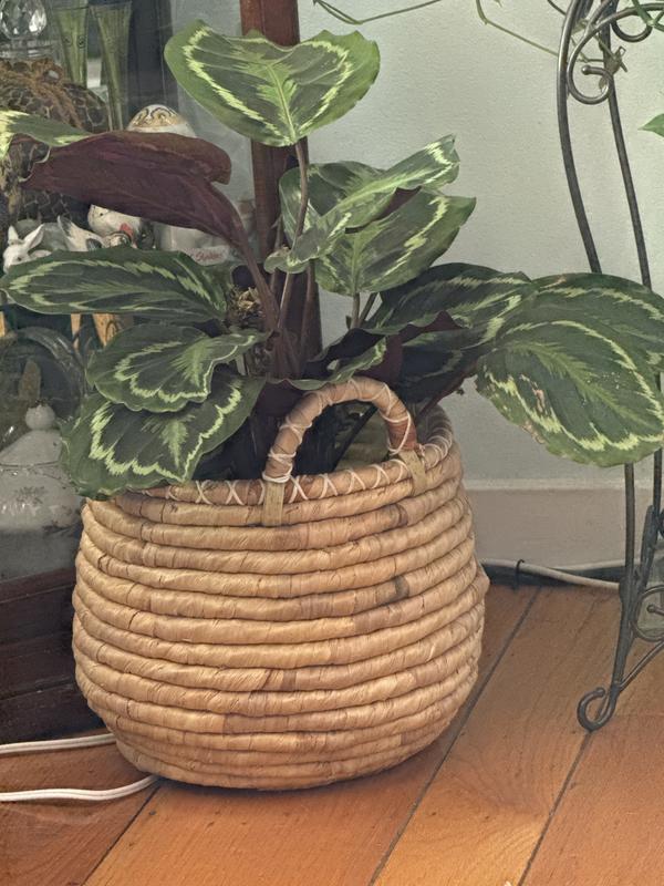 Origin 21 Round 13-in W Medium Brown Wicker Indoor Planter 8120241