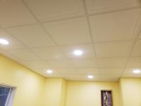 Armstrong Ceilings Common 24 In X 24 In Actual 23 735 In X