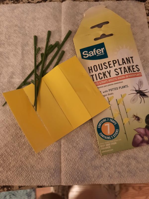 Classy Casita Sticky Traps- House Plant Sticky Stakes, Plant Bug