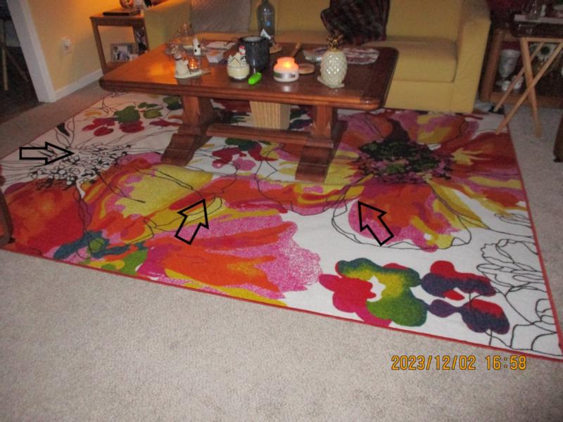 Modern Bright Flowers Non-Slip Area Rug Multi - 5'3 x 7'3