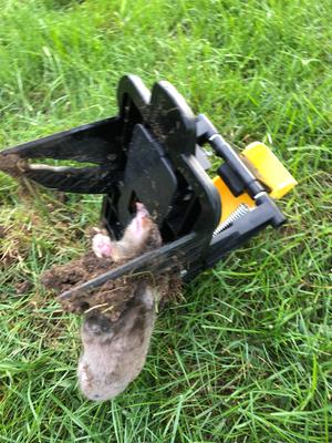 Talpirid Mole Trap / TomCat Mole Trap