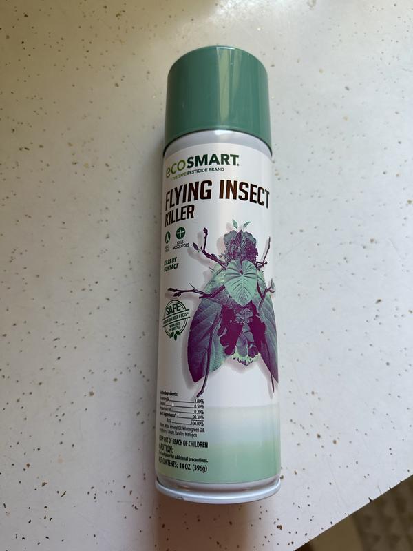 EcoSMART 14-fl oz Natural Insect Killer Aerosol (2-Pack) ECSM-33525 ...