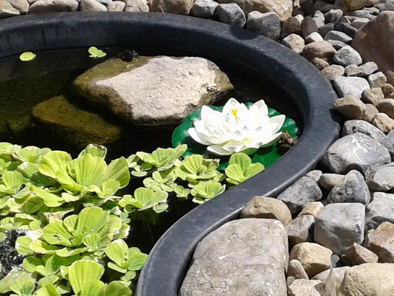 Smartpond Floating Lily Pads For Artificial Pond Assorted 3 Pack Rona