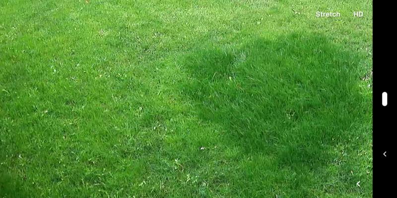 Patio Lawn Garden Grasses Works On Shady Or Sunny Area Retain Water Cil Coated Seed Mixture Blend Grass Seed 25 Kg 55lbs Guarantees Successful Seeding Agreena Com